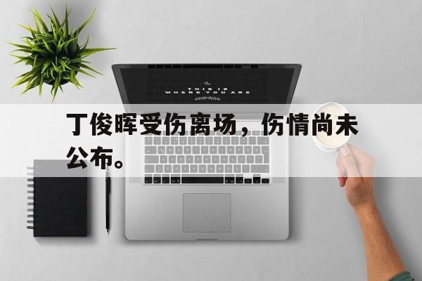 中国官网-丁俊晖受伤离场，伤情尚未公布。